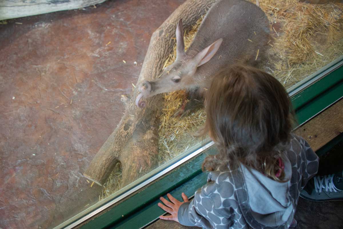 Henry Vilas Zoo, Free zoo in madison