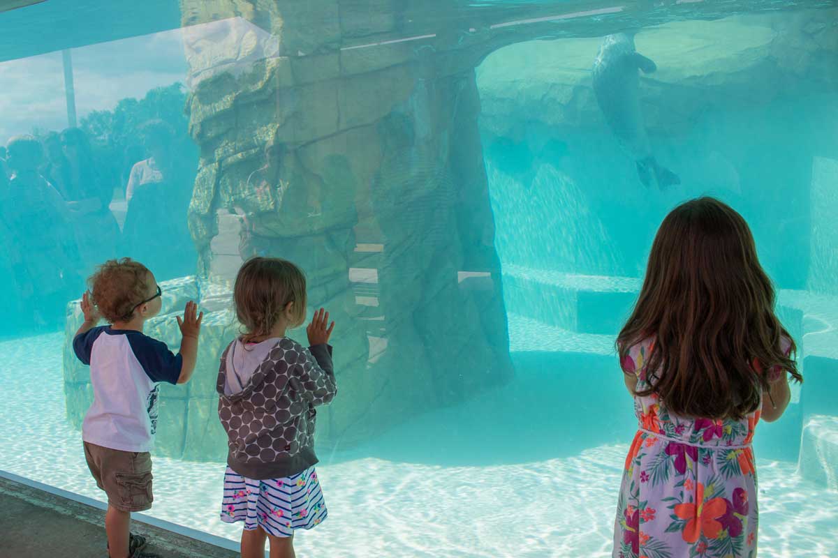 Enjoy a Family Day Trip to this FREE Zoo in Madison!