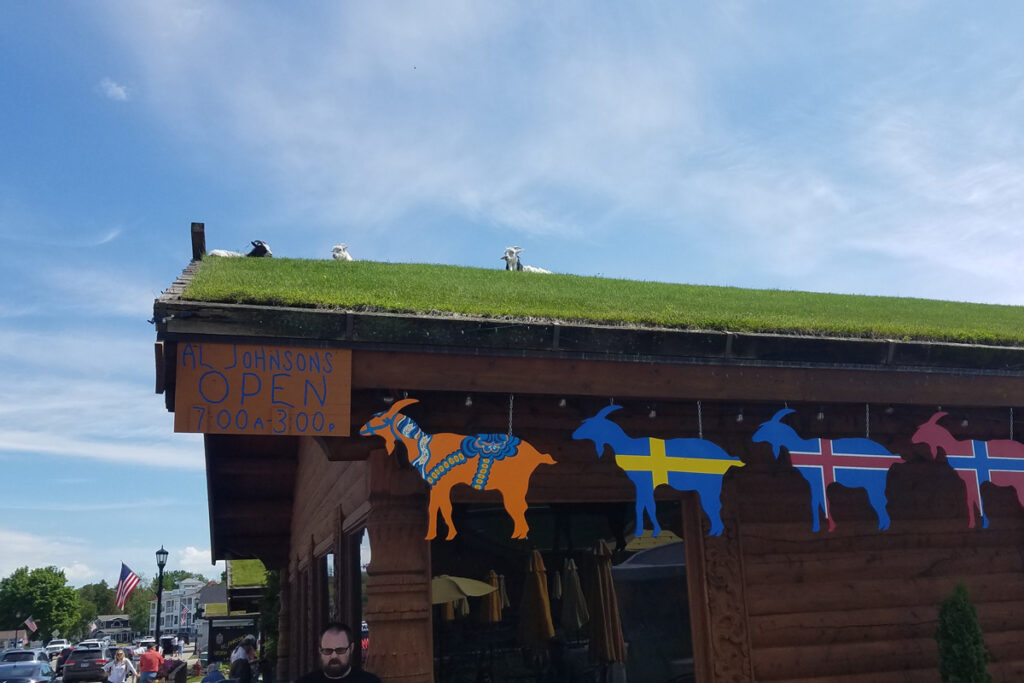 Goats on the roof at Al Johnsons in Door County