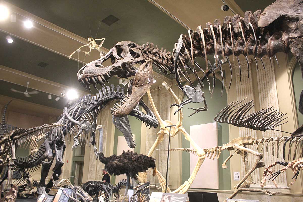 Kenosha Dinosaur Museum