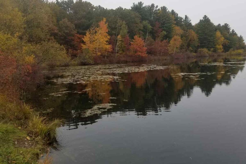 Hartman Creek Fall