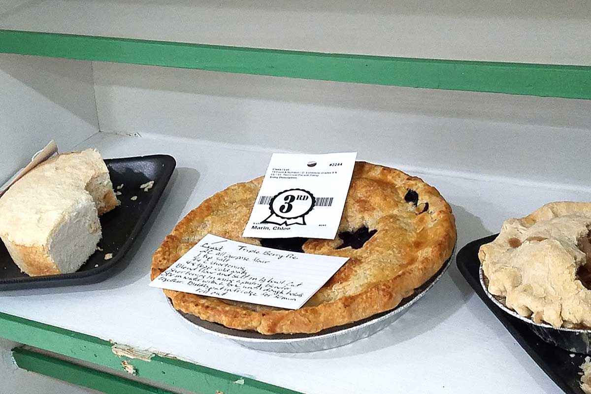 Pie Contest at Stoughton County Fair