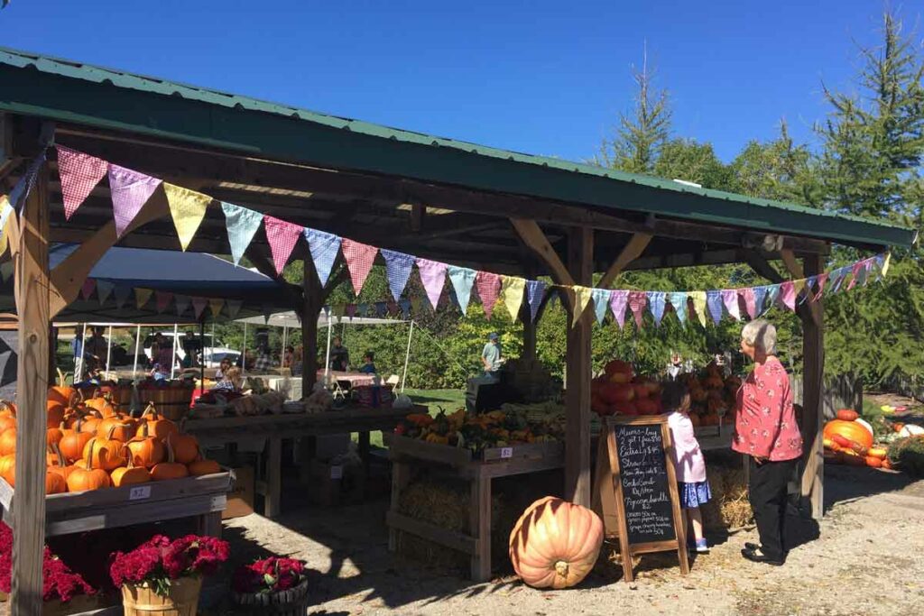 Apple Blossom Orchard and Market