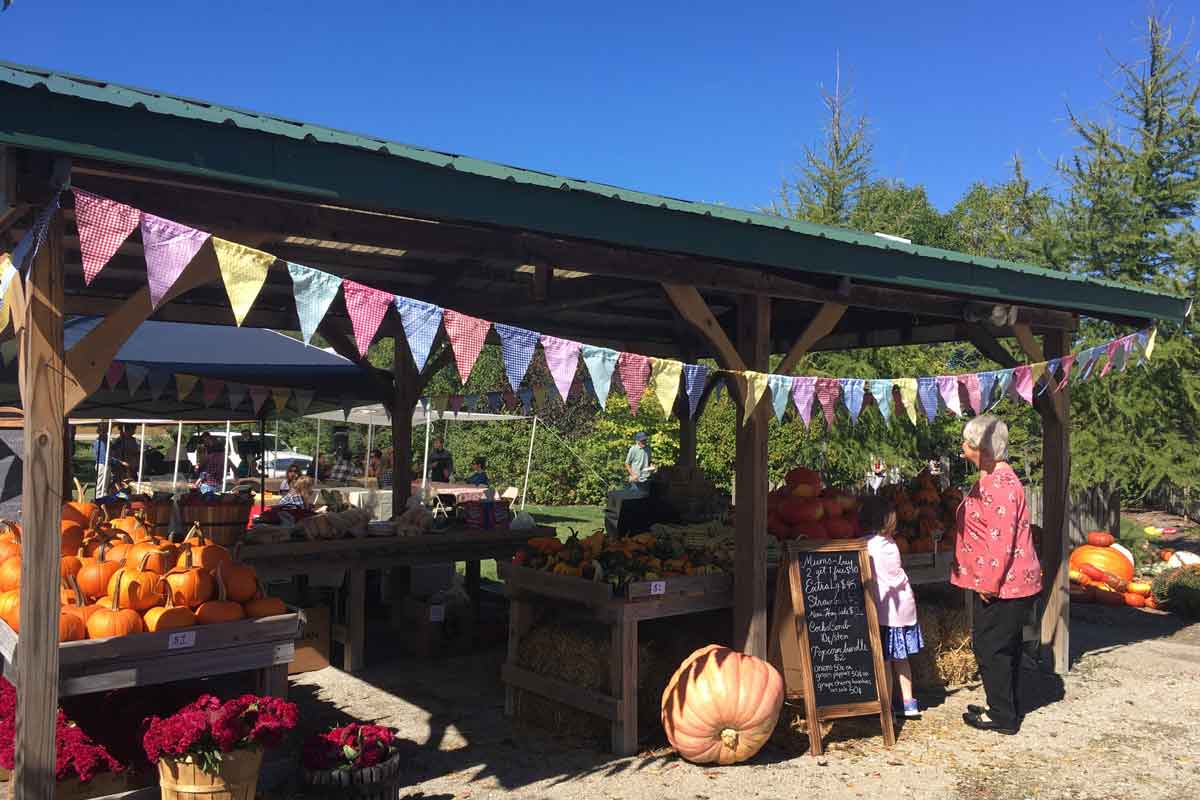 Rasmussen's Apple Acres - Cortland