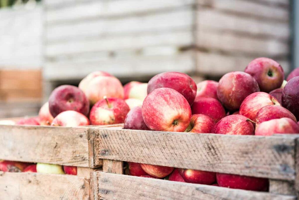 Spranger's Orchard, Kaukauna