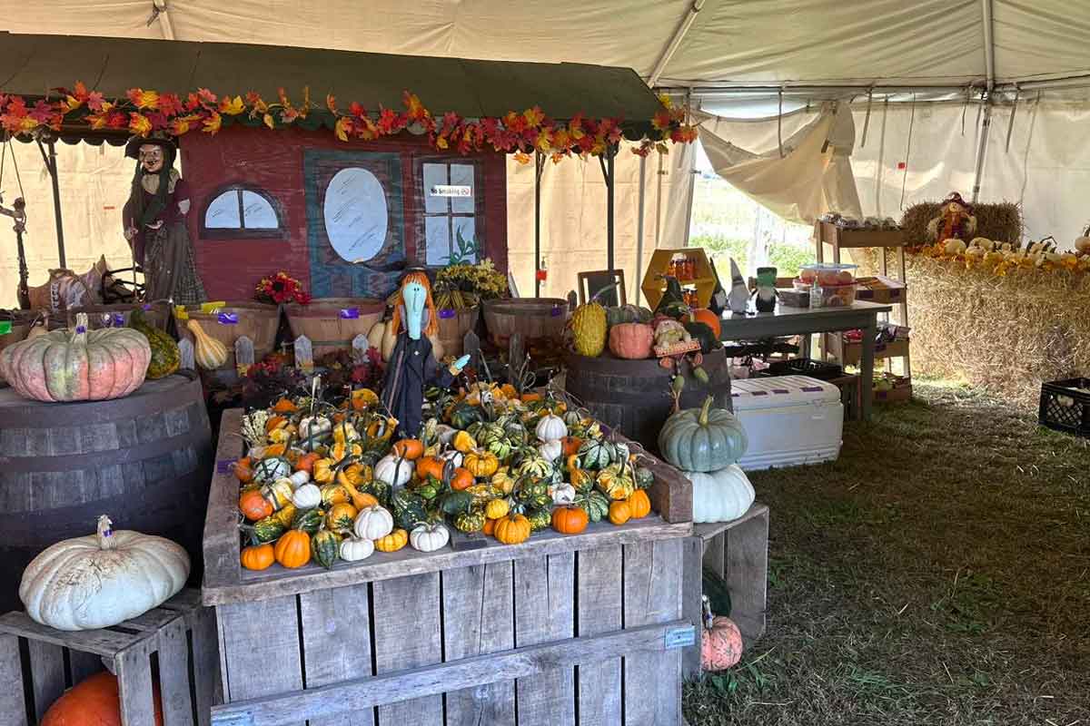 Fall Fun Finder: Pumpkin Patches, Farms, Kid Activities & More!