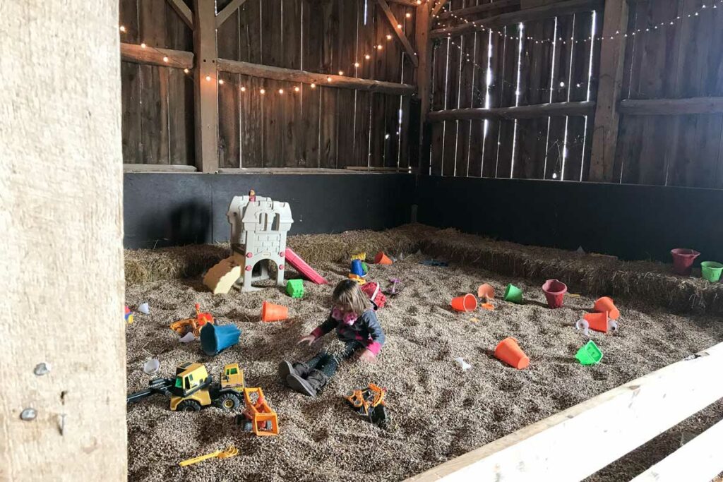 Playing in corn at Cuffs Farm