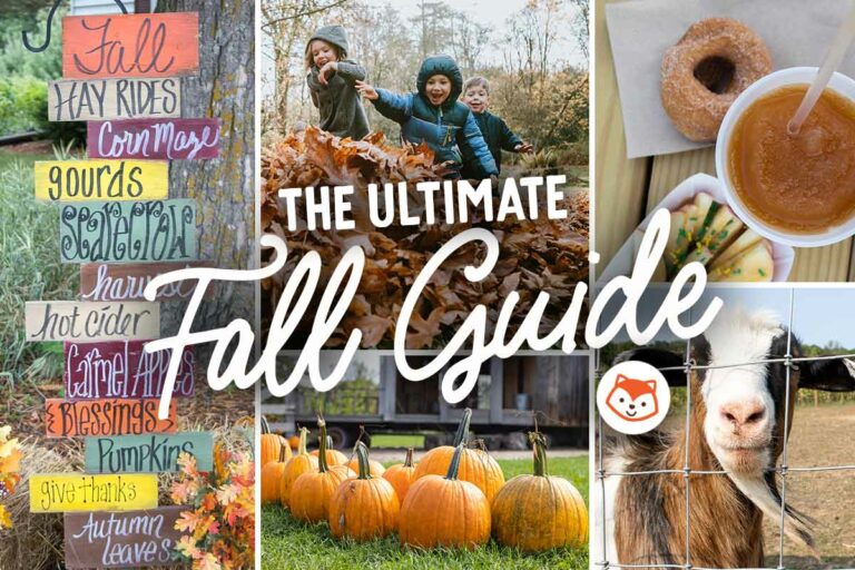 Fall things to do in the Fox Valley