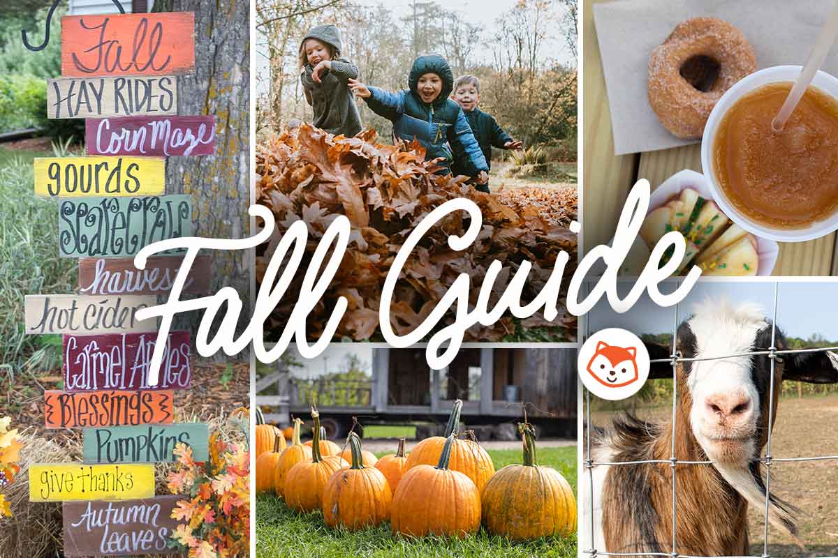 Ultimate Guide: 50+ Must-Do Fall Activities for Families in Wisconsin!