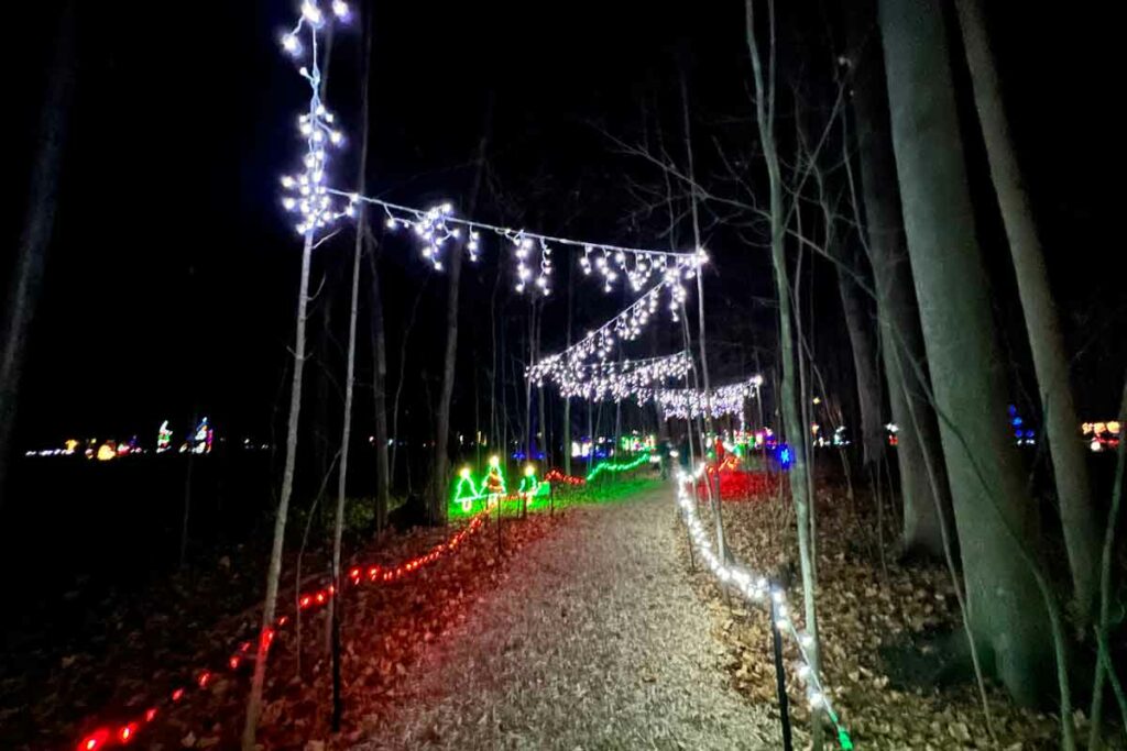 Walk through the lighted woods at the Fox Cities Festival of Lights in Appleton