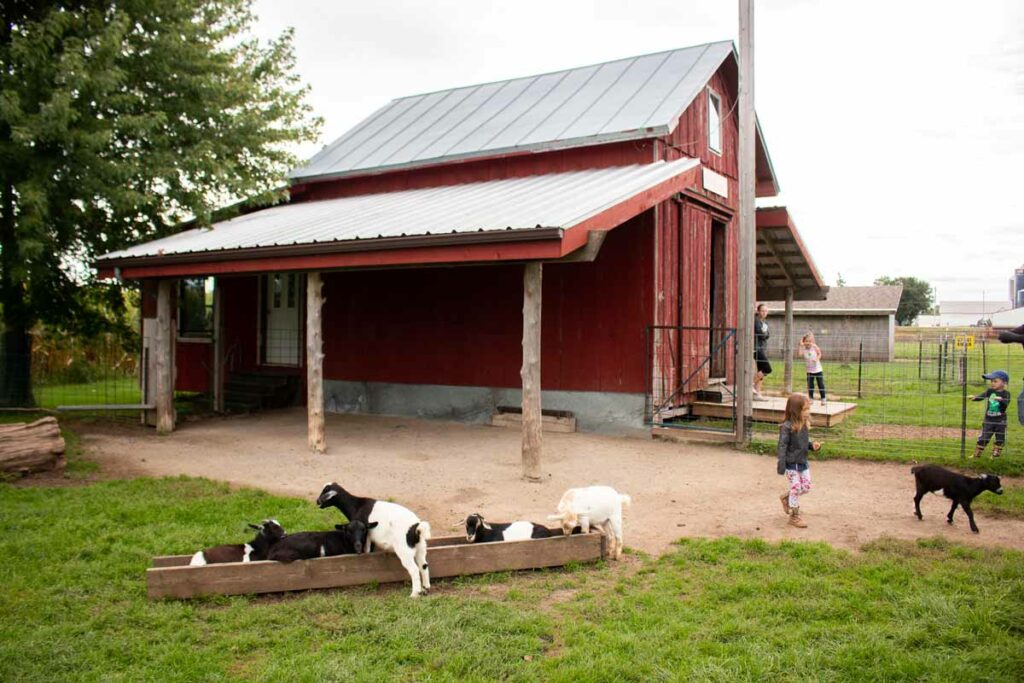 Mulberry Lane Farm in Sherwood