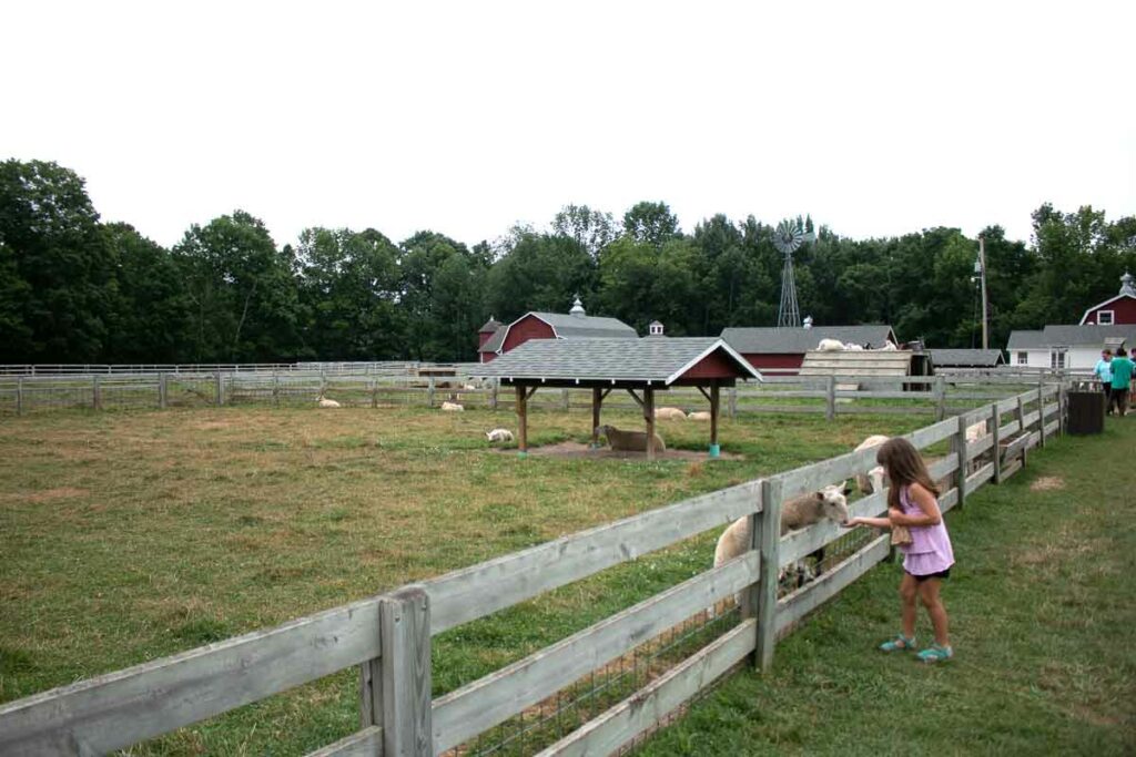 The Farm in Sturgeon Bay, Door County