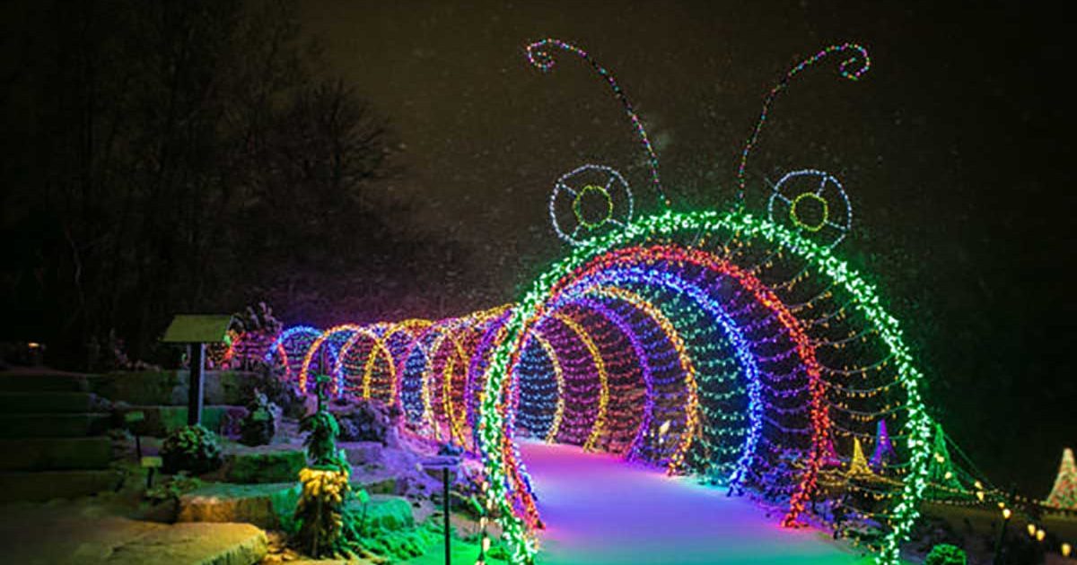 Wps Garden Of Lights 20 Years Of Lighting Up Green Bay