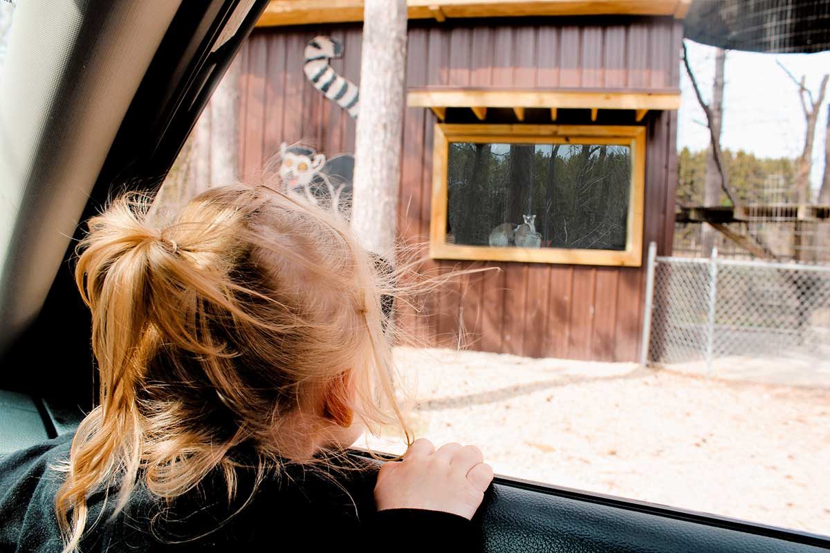 Wisconsin Zoo Offers Drive-Thru Style Family Fun | Go Valley Kids